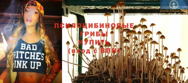 МДПВ Арсеньев