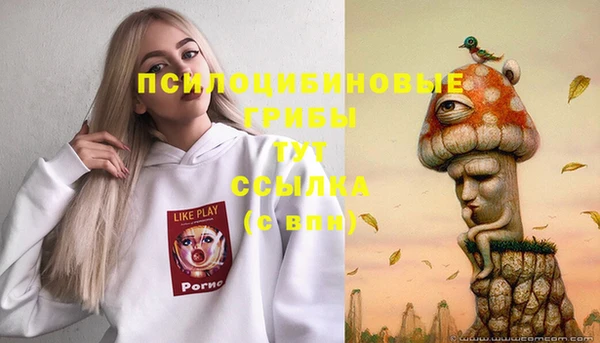 метамфетамин Алексеевка