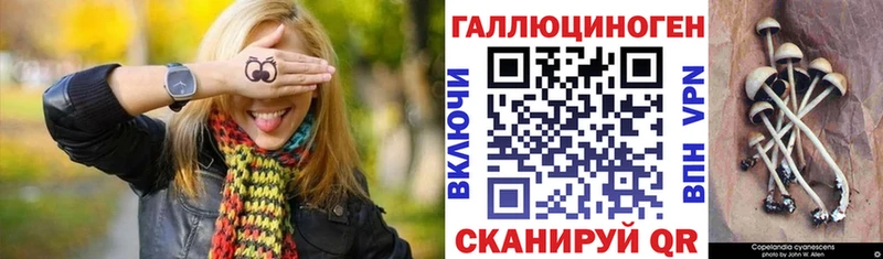 Псилоцибиновые грибы ЛСД  Купить  Иннополис 